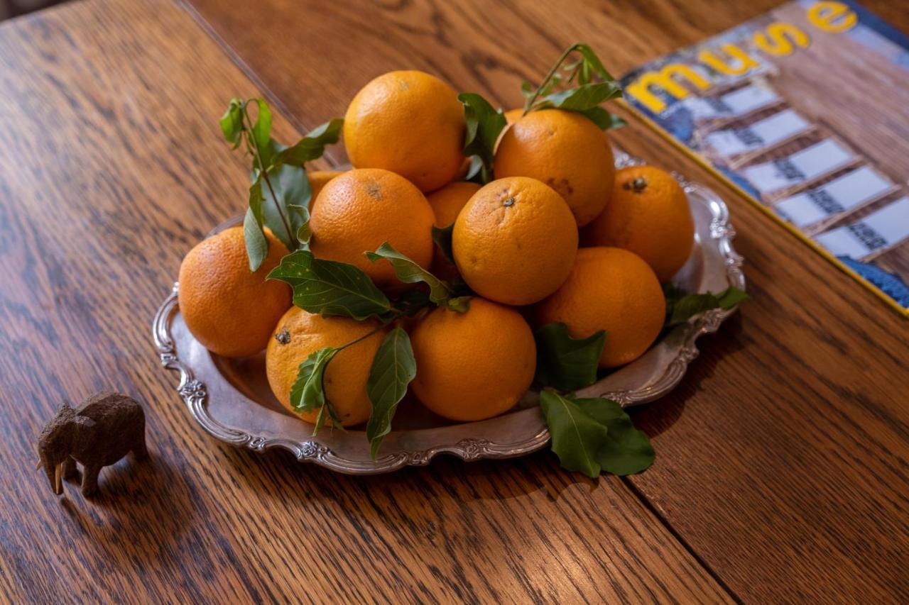 Safari Moon Luxury Bush Lodge 호에드스프뤼트 외부 사진
