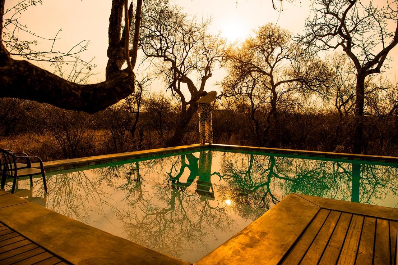 Safari Moon Luxury Bush Lodge 호에드스프뤼트 외부 사진
