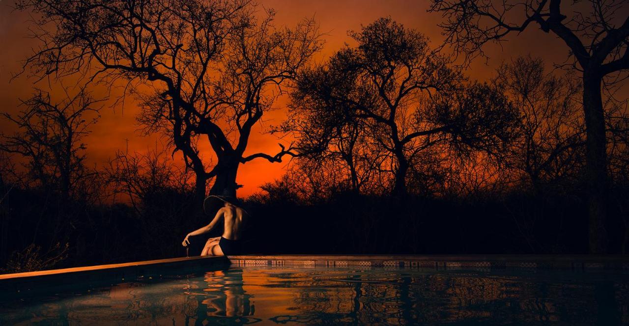 Safari Moon Luxury Bush Lodge 호에드스프뤼트 외부 사진