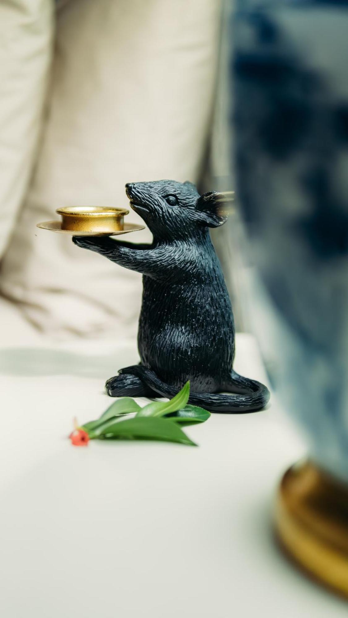 Safari Moon Luxury Bush Lodge 호에드스프뤼트 외부 사진