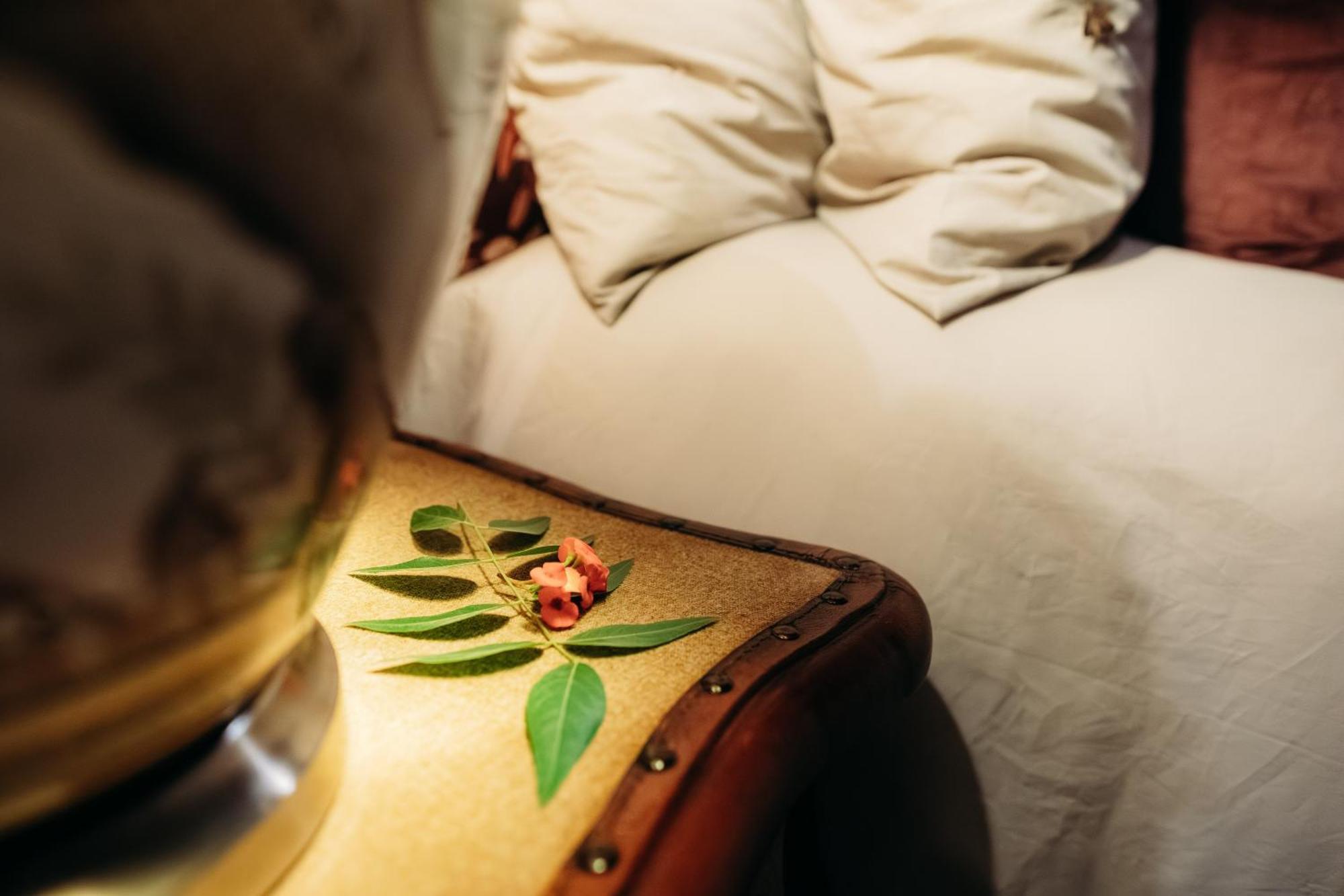 Safari Moon Luxury Bush Lodge 호에드스프뤼트 외부 사진
