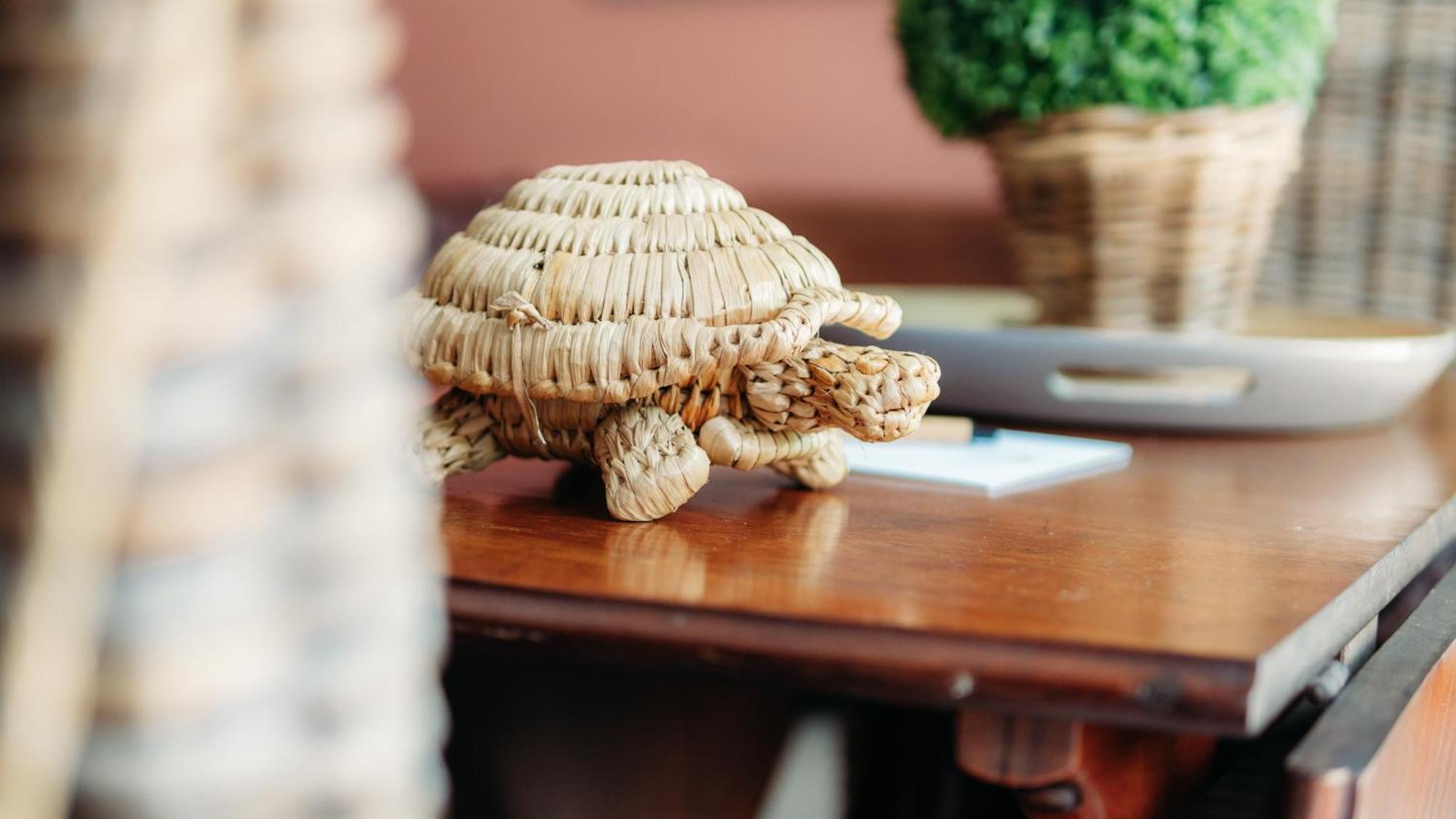 Safari Moon Luxury Bush Lodge 호에드스프뤼트 외부 사진